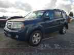 2011 HONDA PILOT