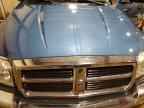 2005 DODGE Dakota