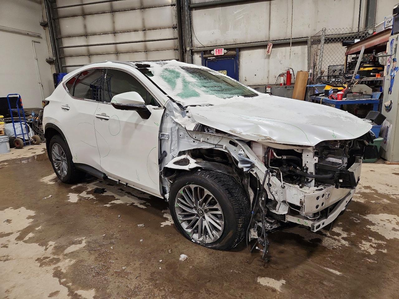 2024 LEXUS NX 350H
