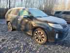 2014 KIA SORENTO