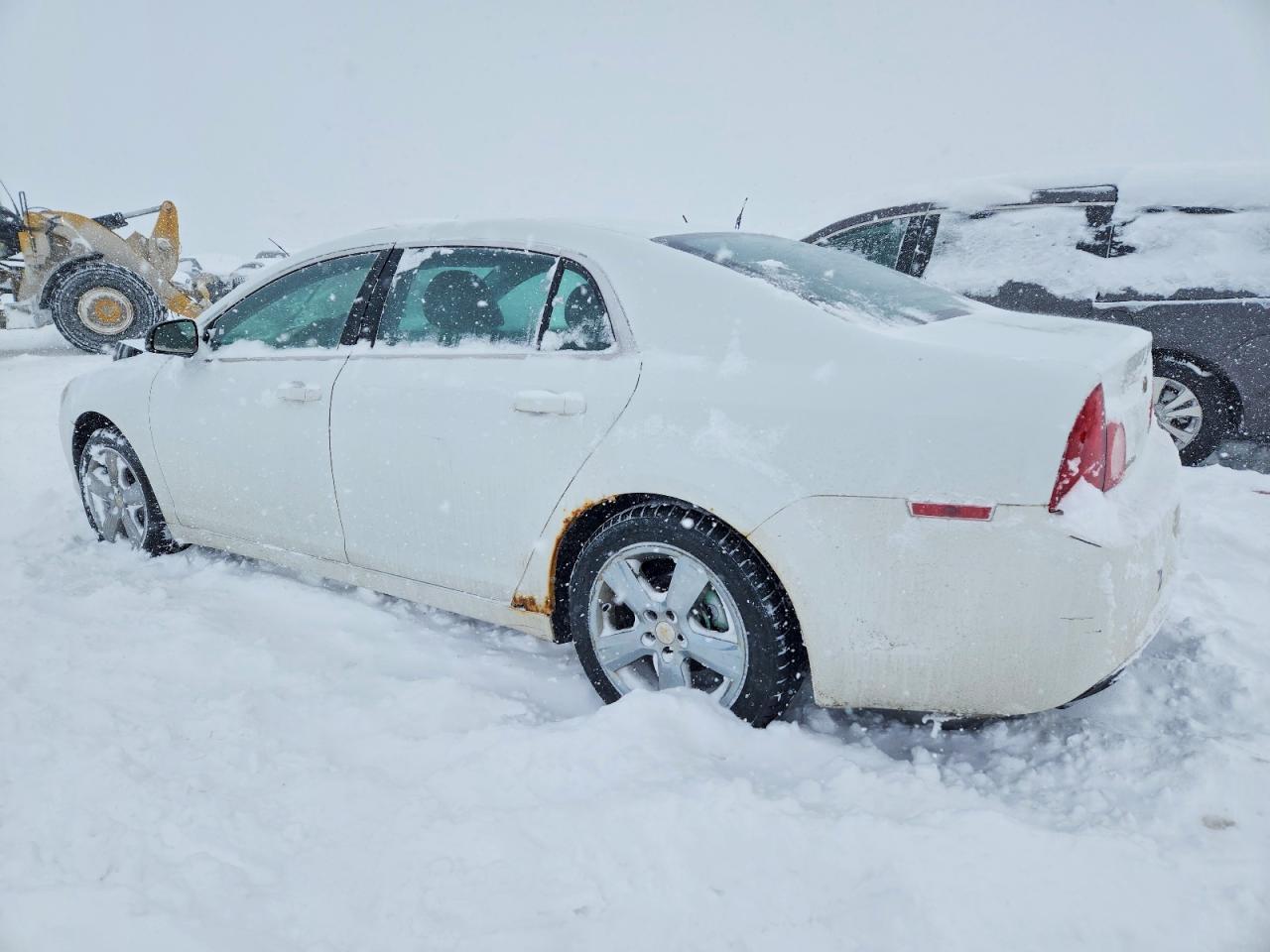 2011 CHEVROLET MALIBU