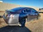 2013 NISSAN Maxima