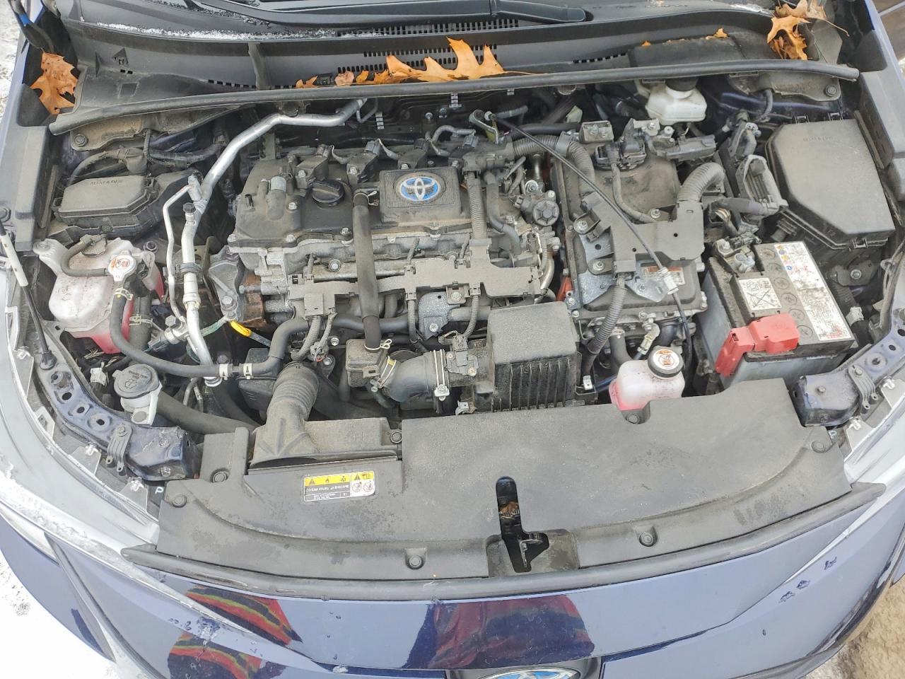 2023 TOYOTA COROLLA