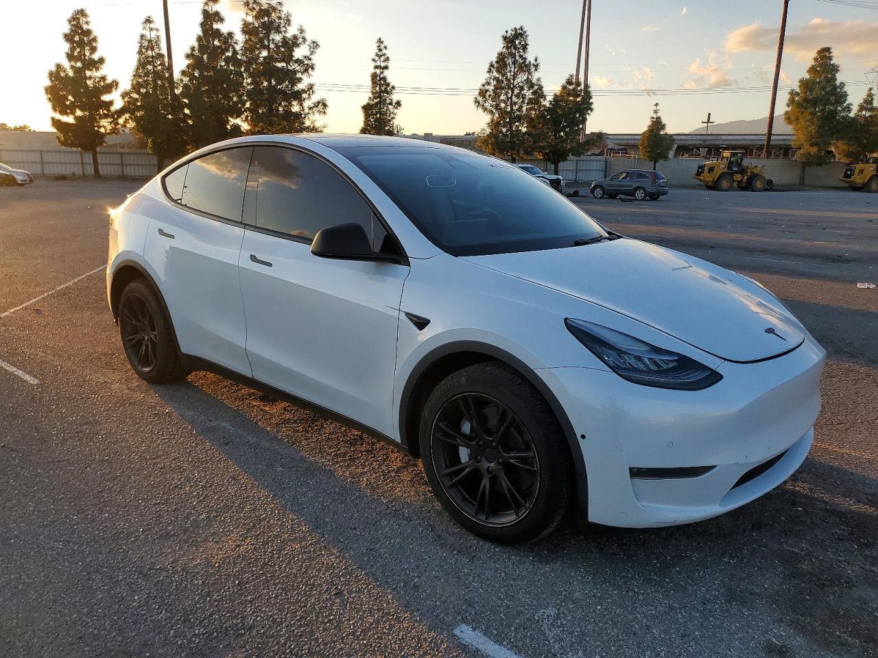 2020 TESLA MODEL Y