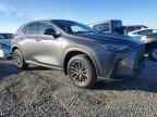 2026 LEXUS NX 350