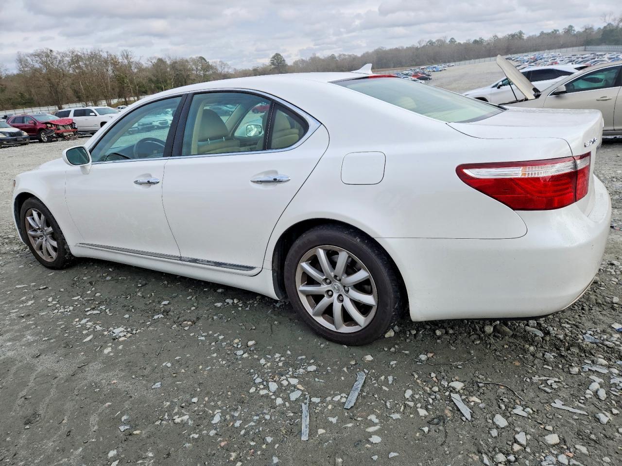 2009 LEXUS LS 460