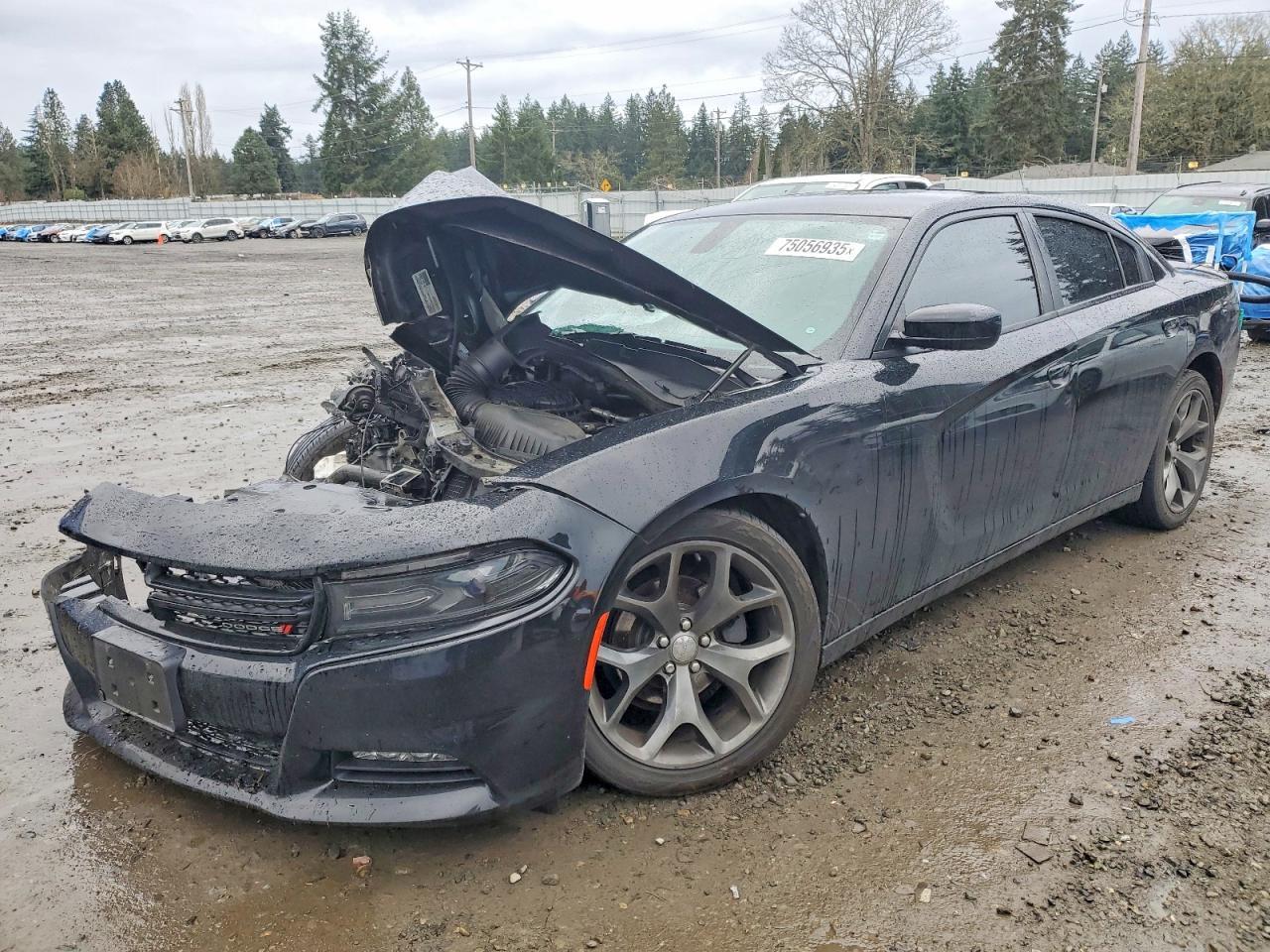 2015 DODGE CHARGER