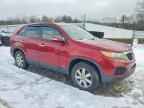 2011 KIA SORENTO