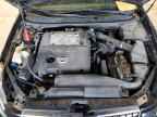 2004 NISSAN Maxima