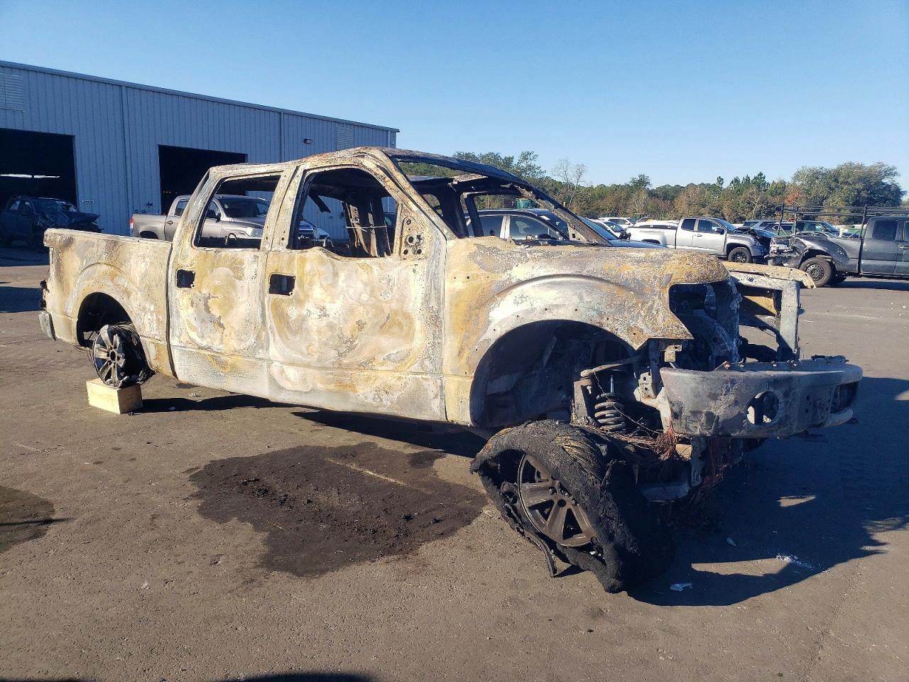 2010 FORD F-150