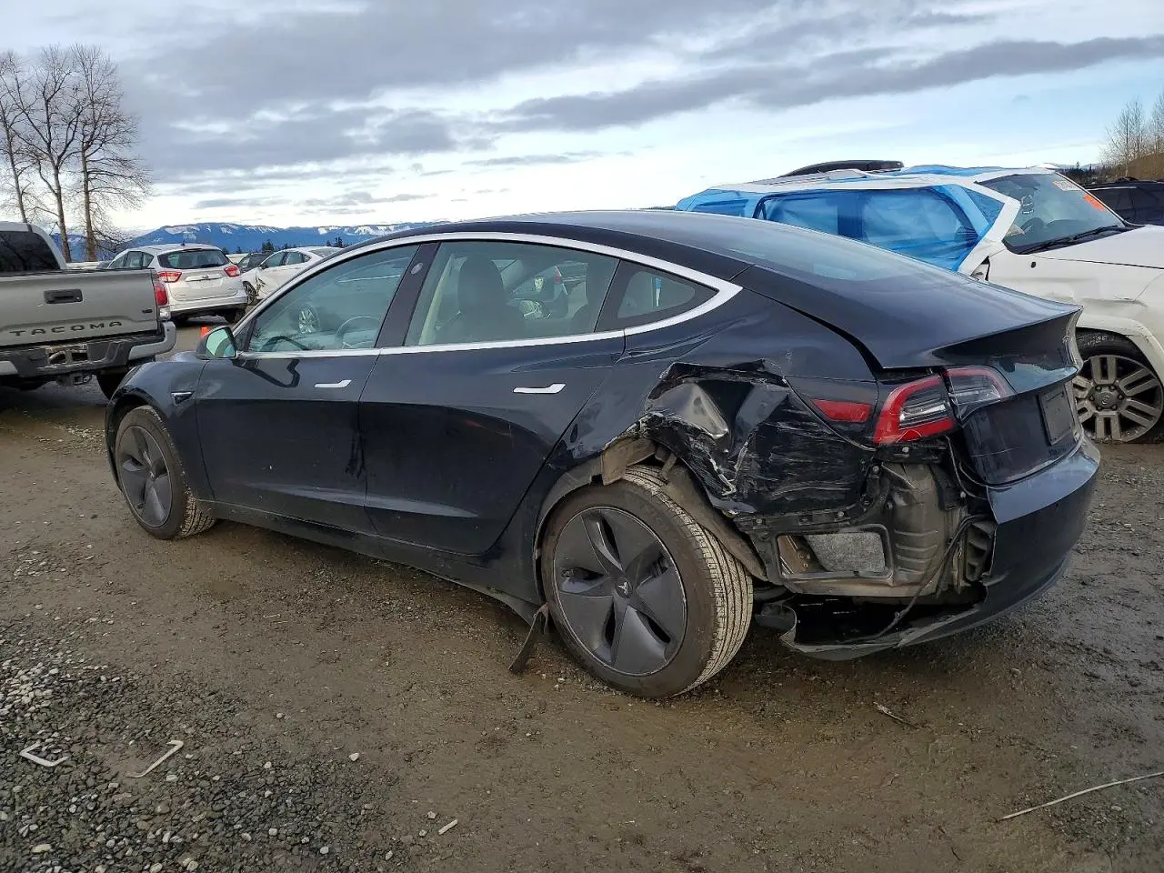 2019 TESLA MODEL 3