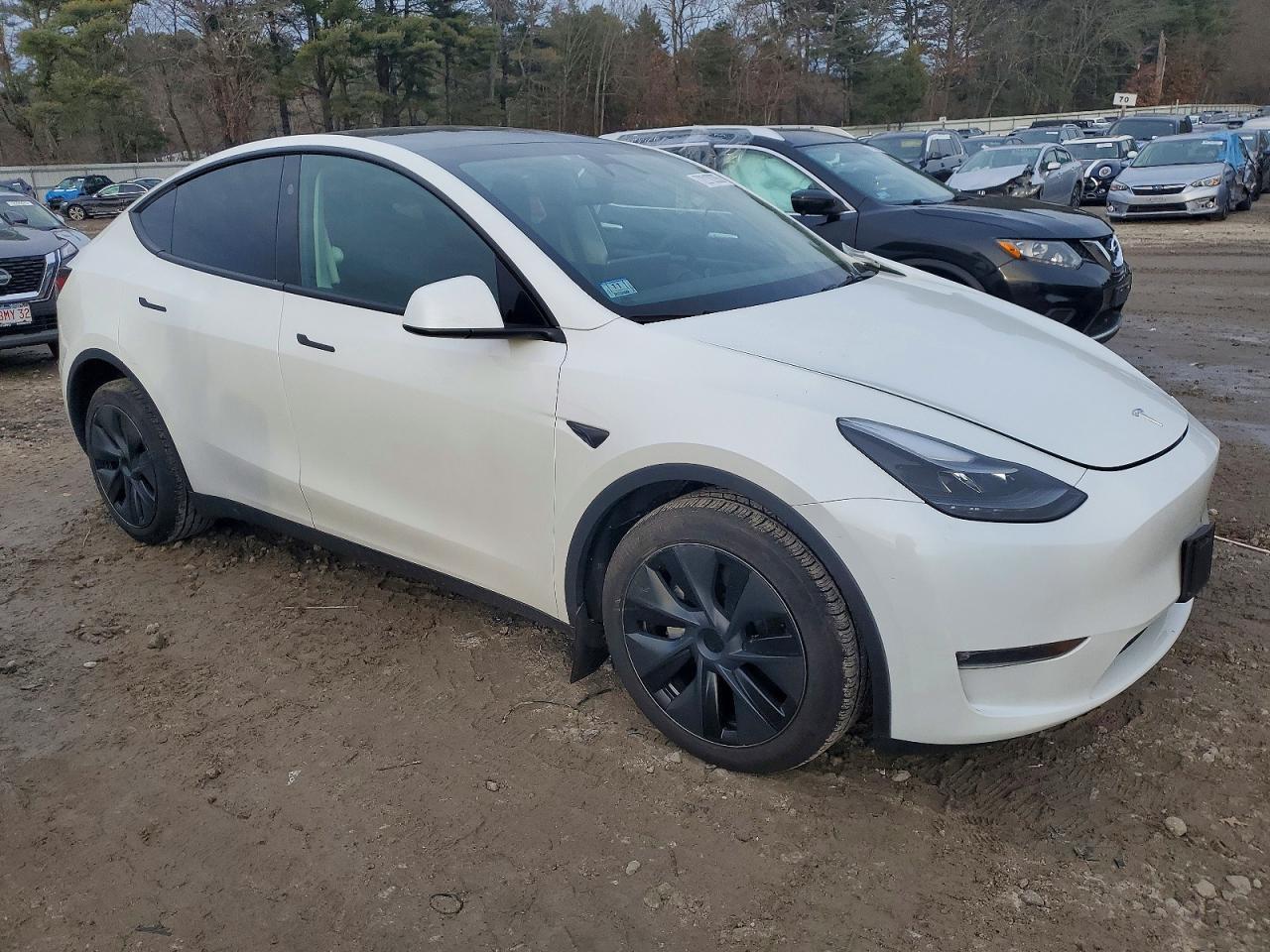 2024 TESLA MODEL Y