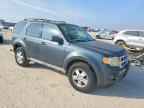 2009 FORD ESCAPE