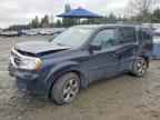 2013 HONDA PILOT