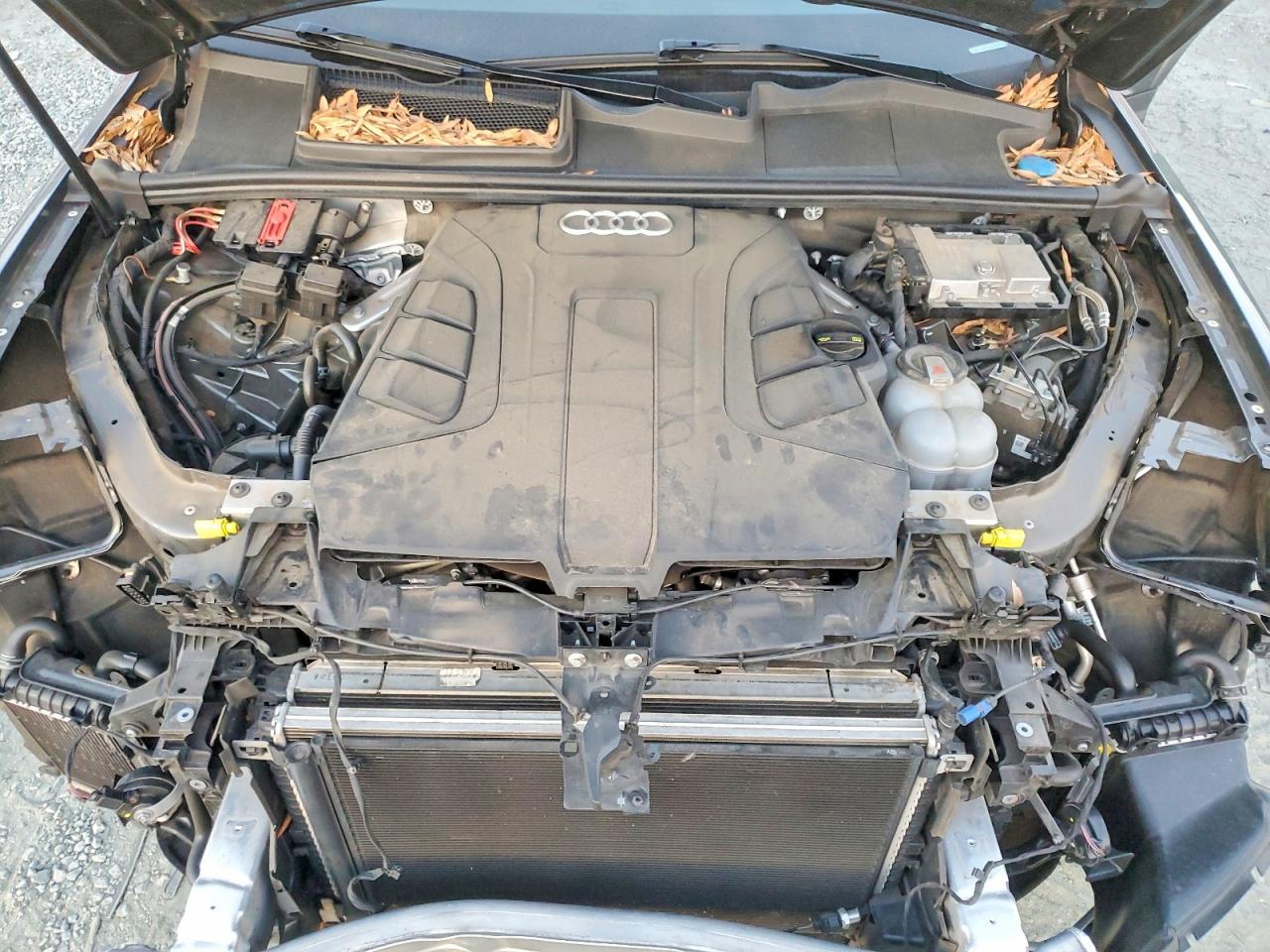 2019 AUDI Q7