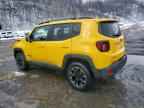 2023 JEEP Renegade
