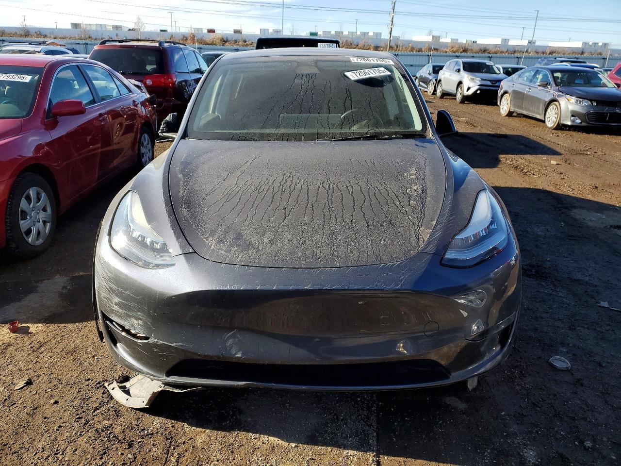 2020 TESLA MODEL Y
