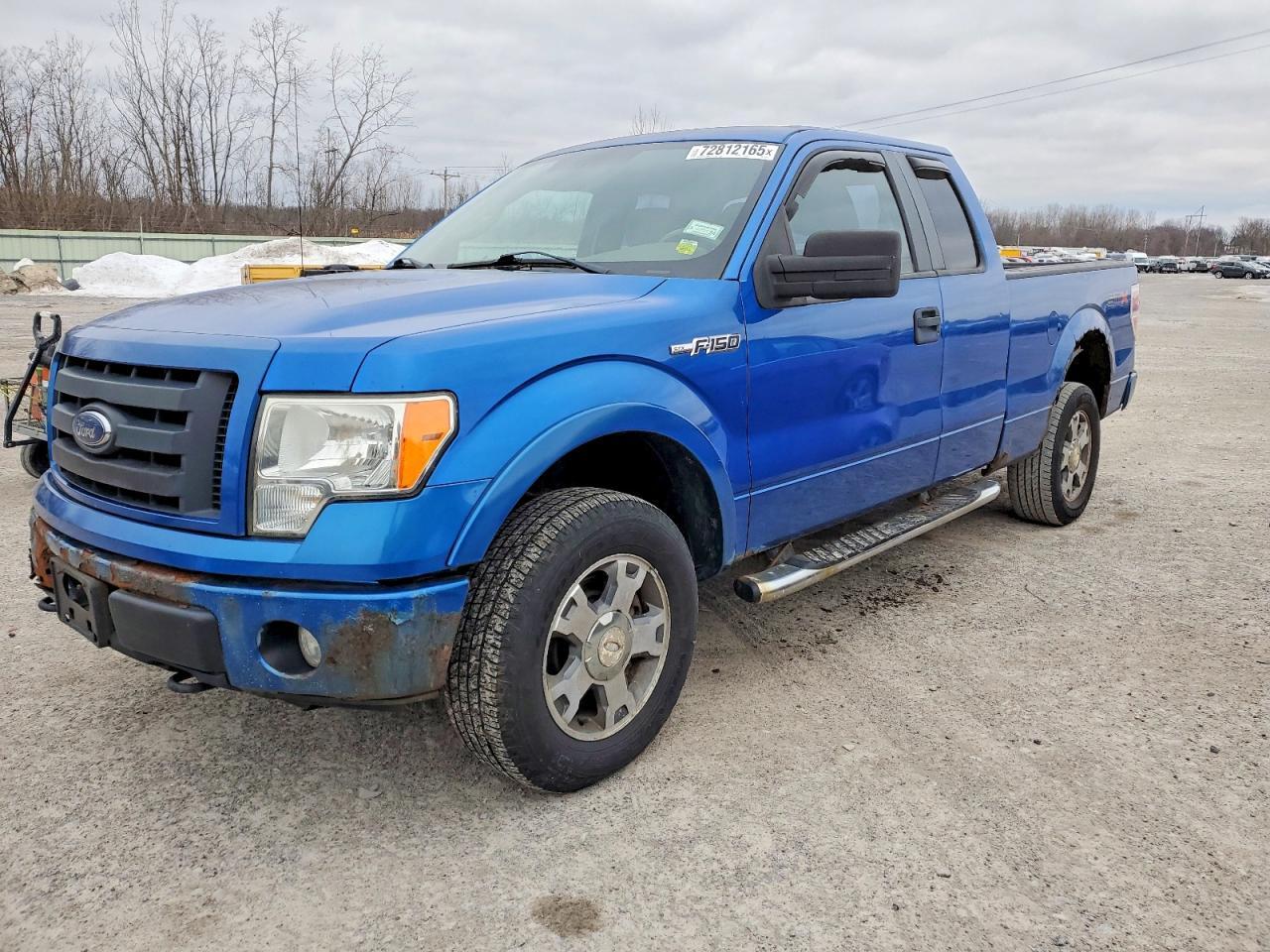 2010 FORD F-150