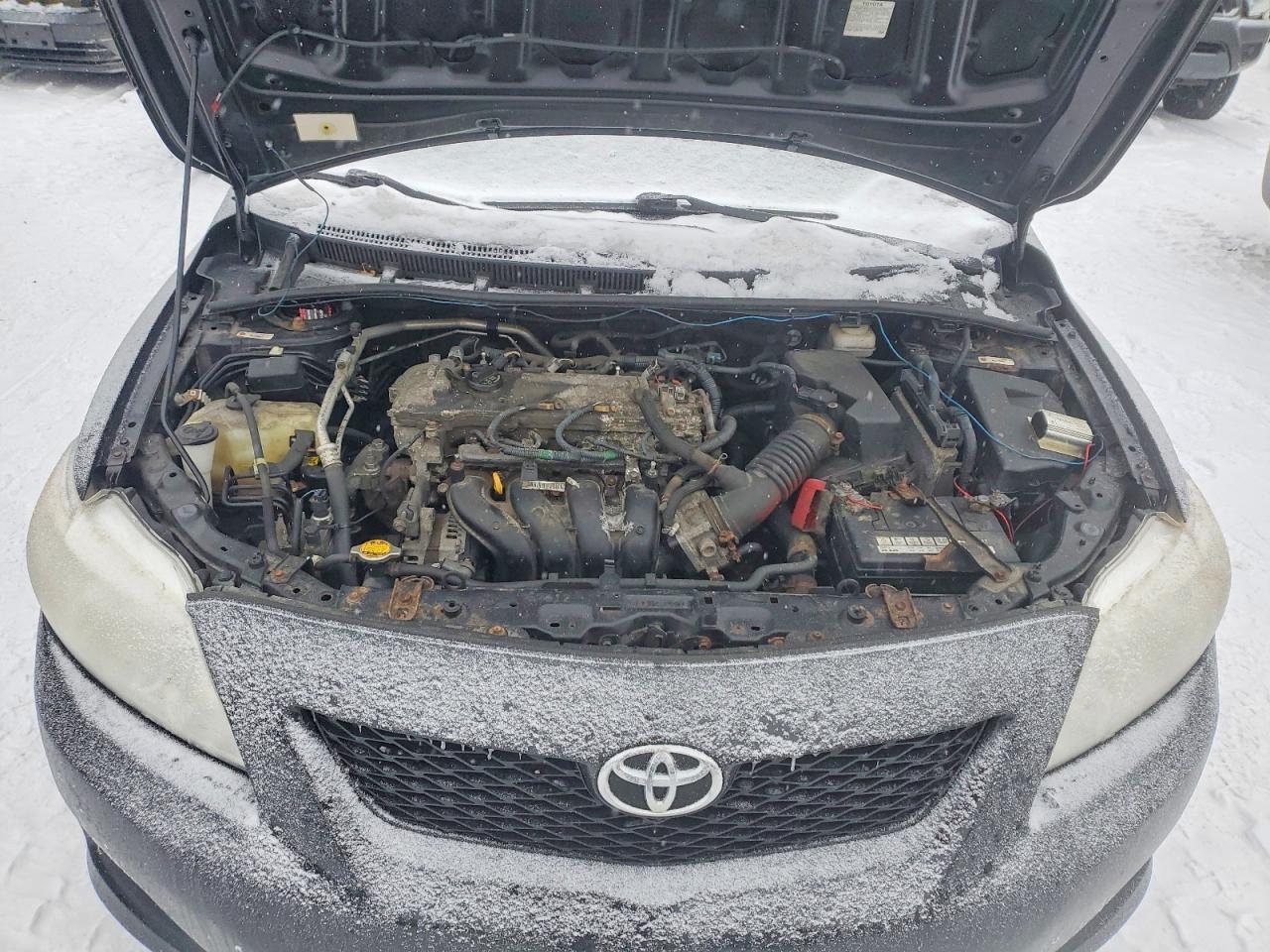 2010 TOYOTA COROLLA