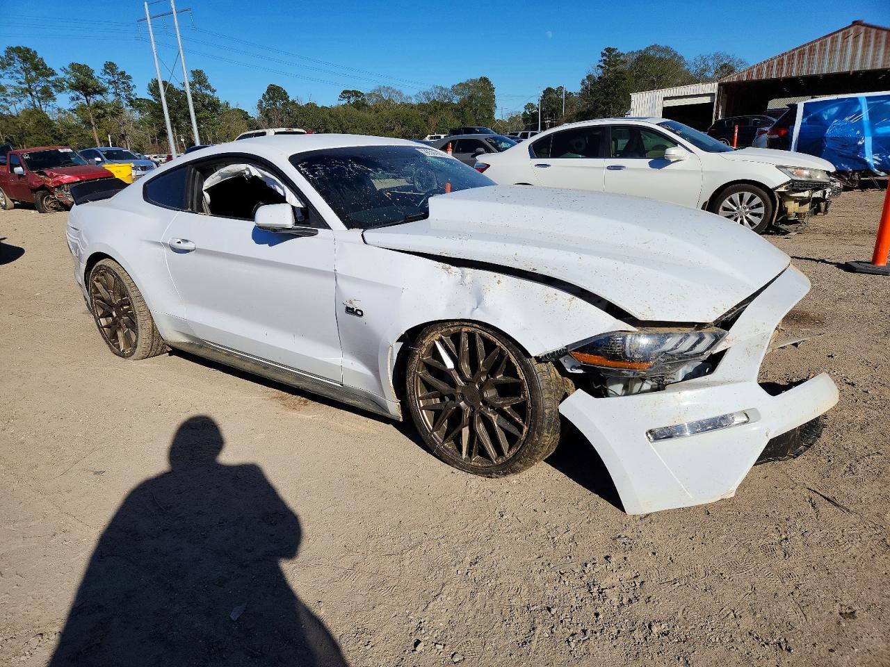 2019 FORD MUSTANG