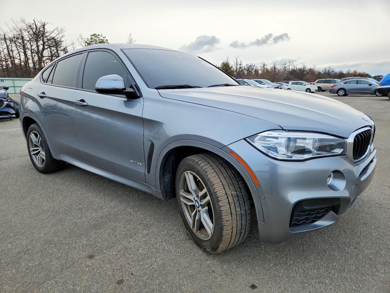 2019 BMW X6