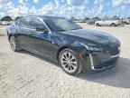 2023 CADILLAC CT5