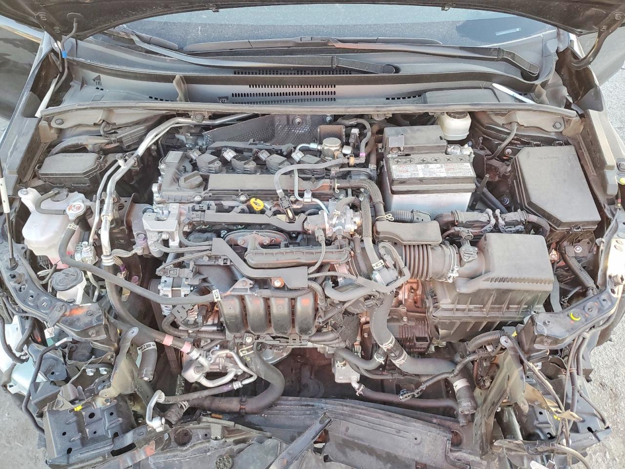 2024 TOYOTA COROLLA