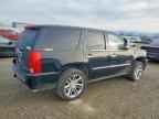 2010 CADILLAC ESCALADE