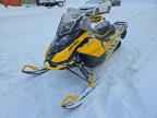 2024 SKI-DOO Renegade