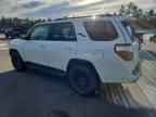 2024 TOYOTA 4Runner