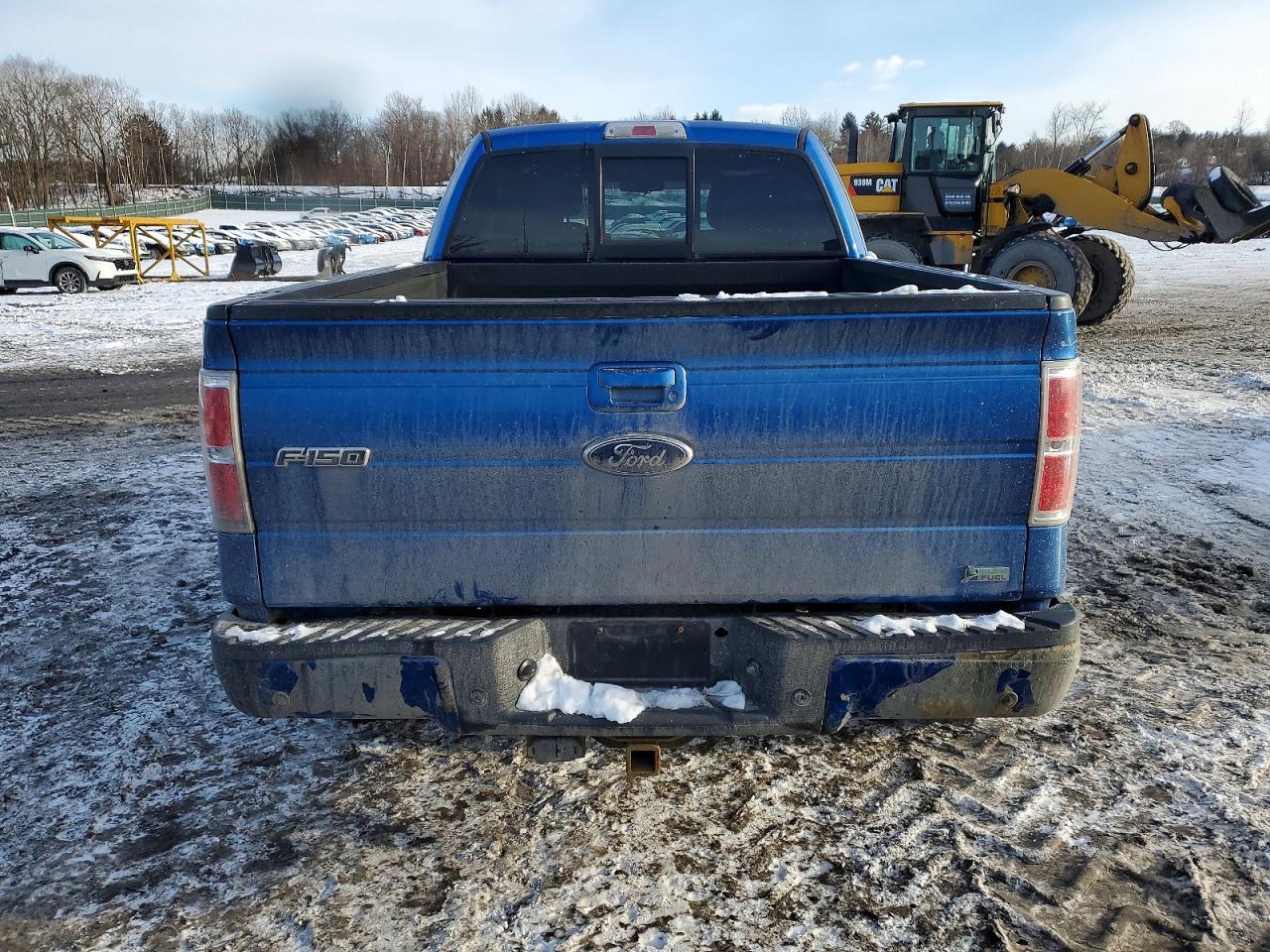 2010 FORD F-150