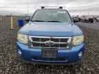 2009 FORD ESCAPE