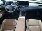 2025 LEXUS ES 350