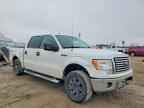 2011 FORD F-150 Lightning