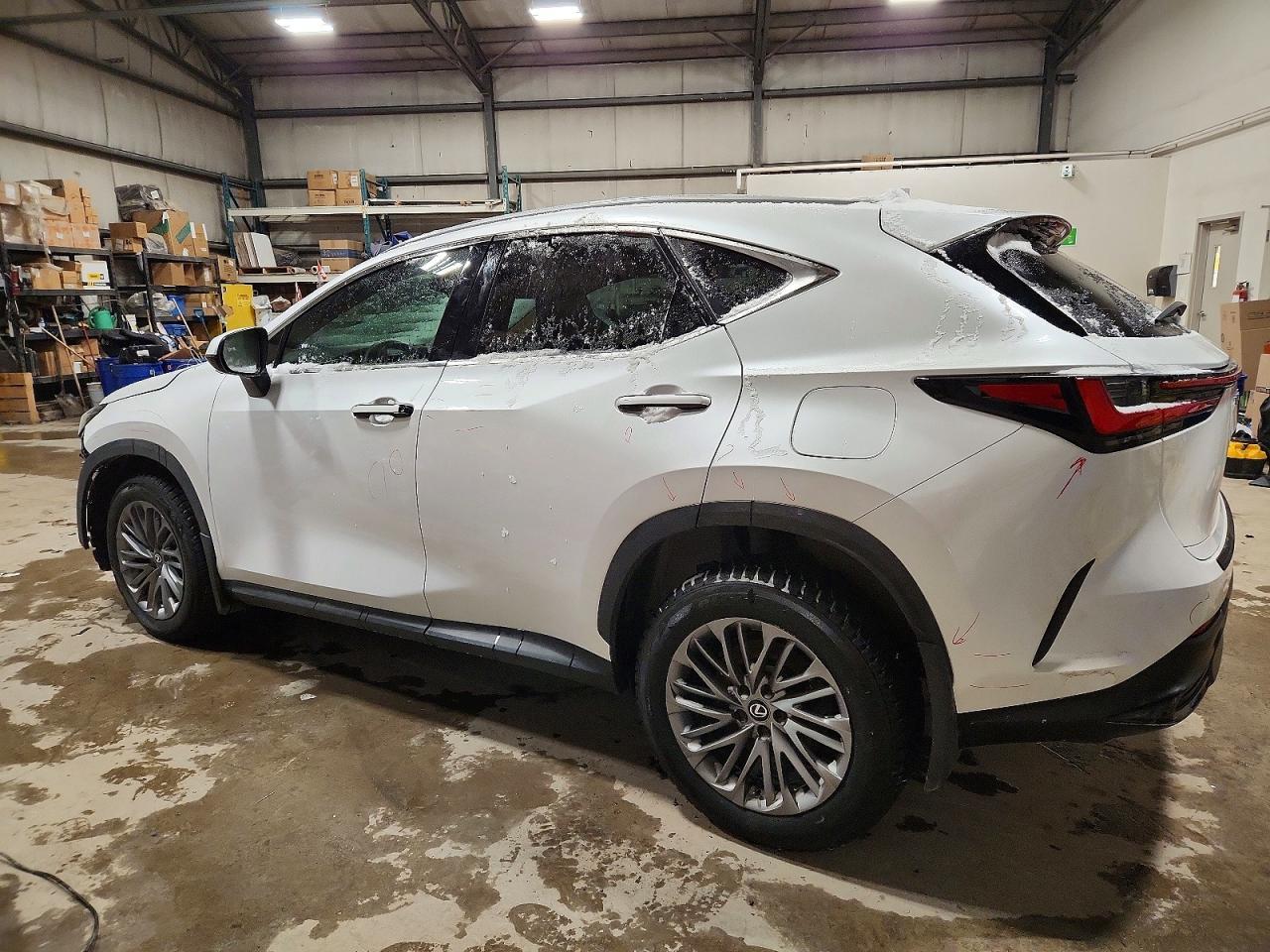 2024 LEXUS NX 350H