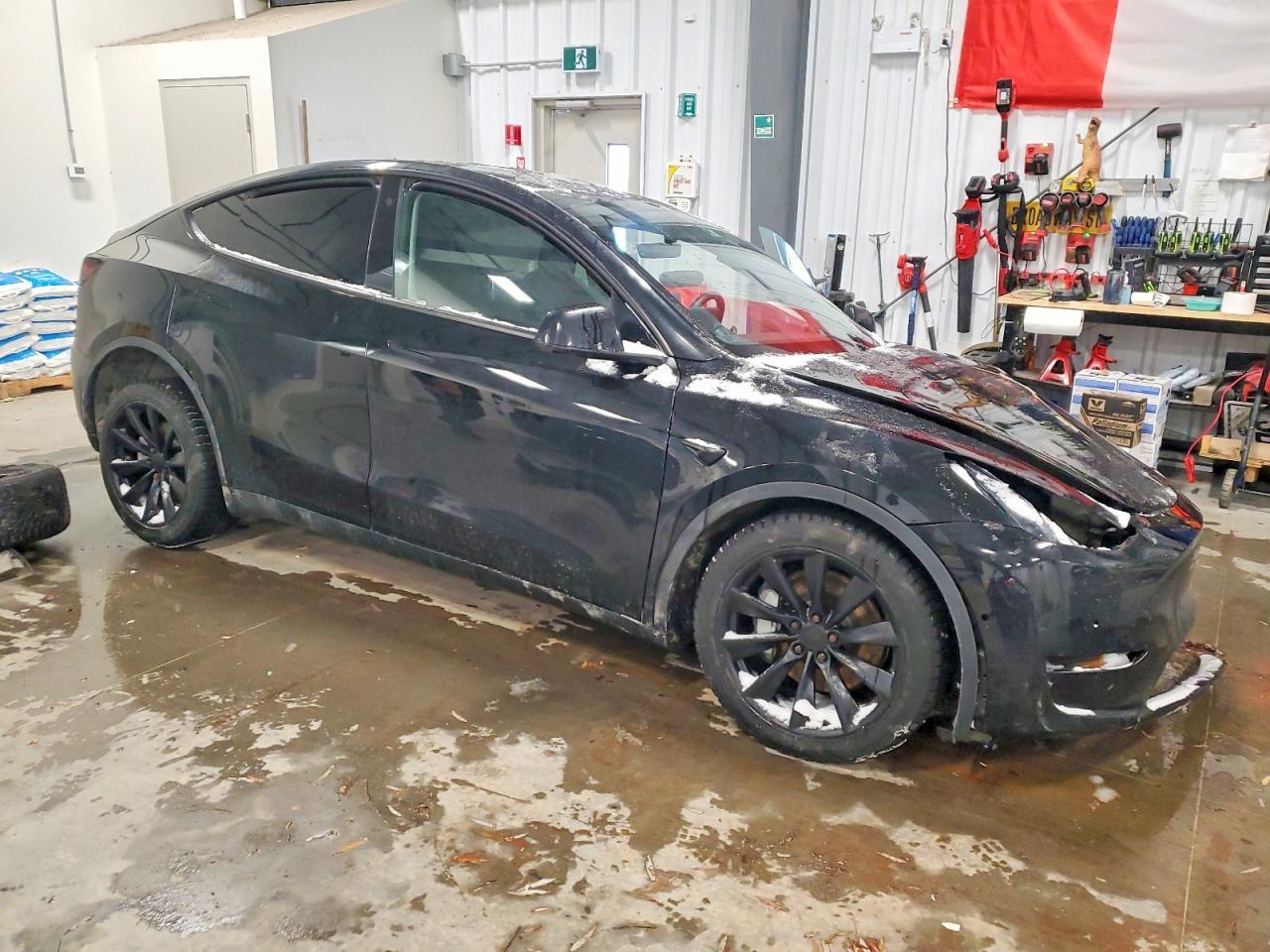 2021 TESLA MODEL Y