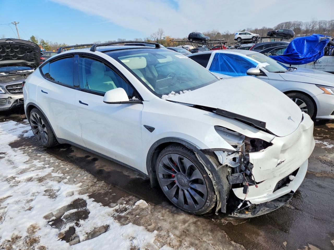 2023 TESLA MODEL Y