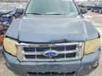 2010 FORD ESCAPE