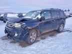 2011 HONDA PILOT