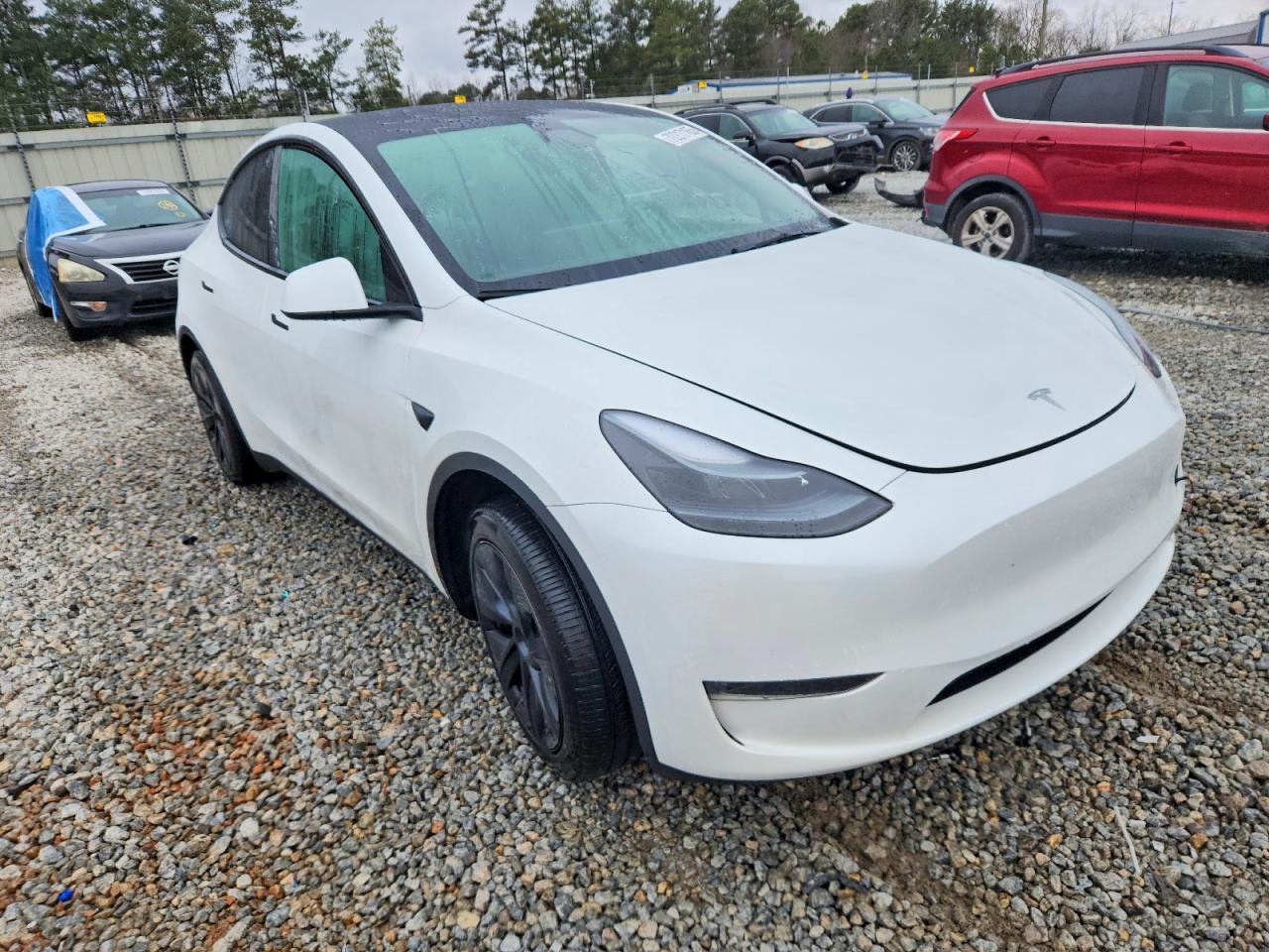 2025 TESLA MODEL Y