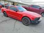 2009 FORD MUSTANG
