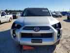 2023 TOYOTA 4Runner