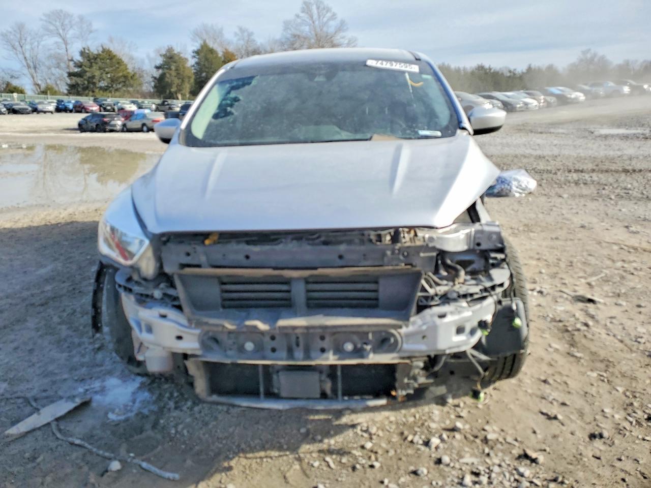 2019 FORD ESCAPE