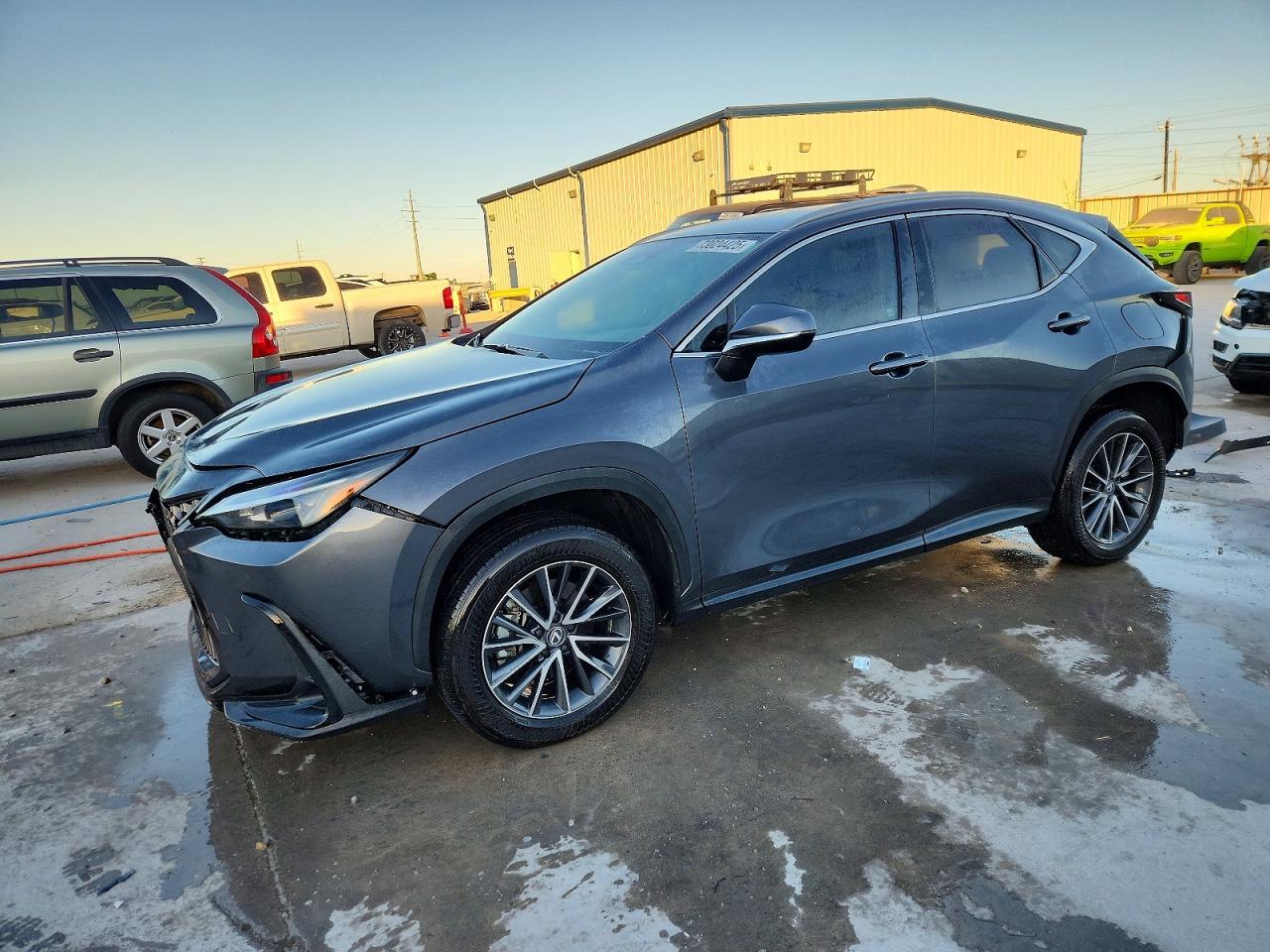2024 LEXUS NX 250