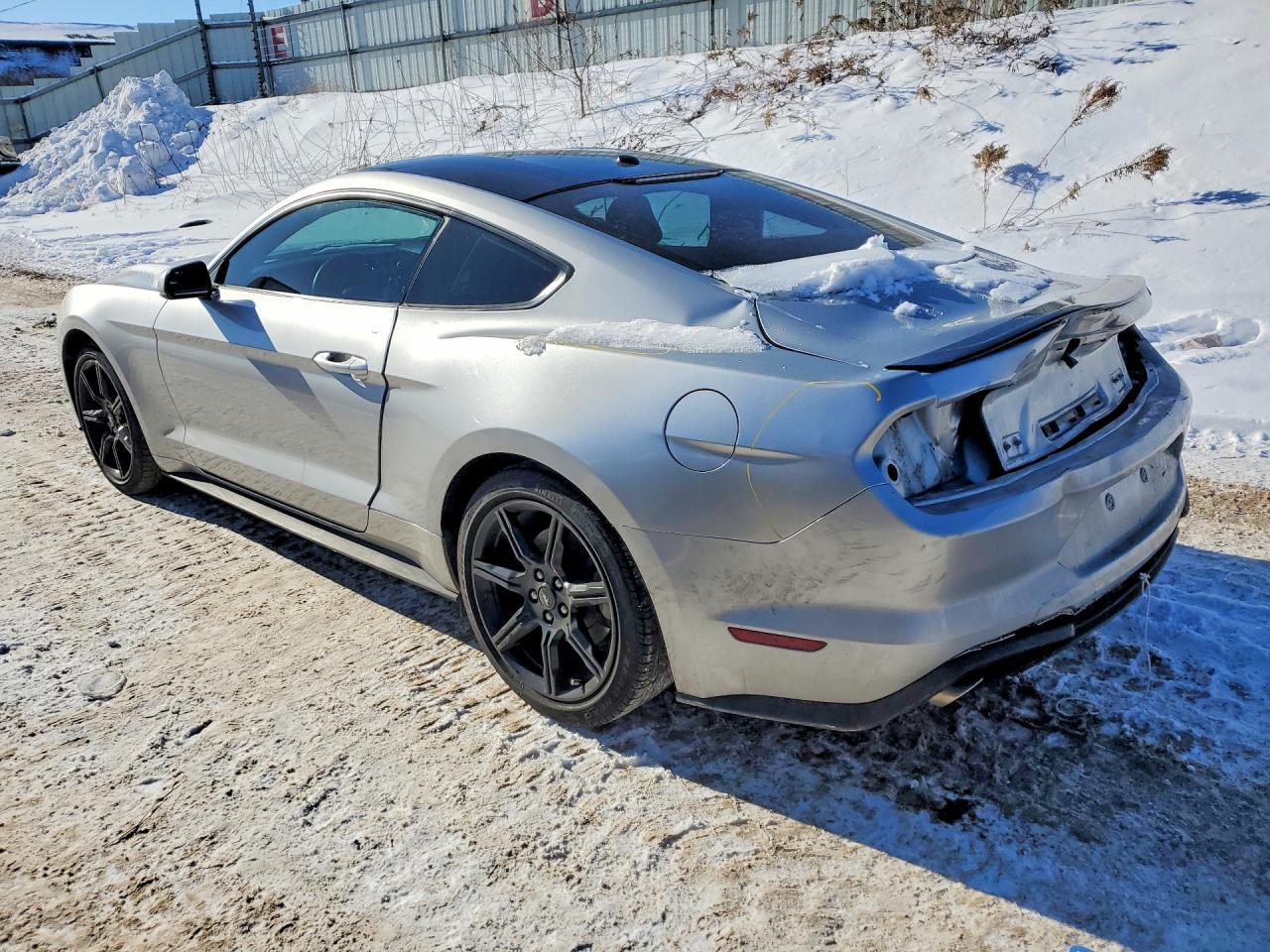 2019 FORD MUSTANG
