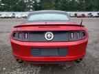 2013 FORD MUSTANG