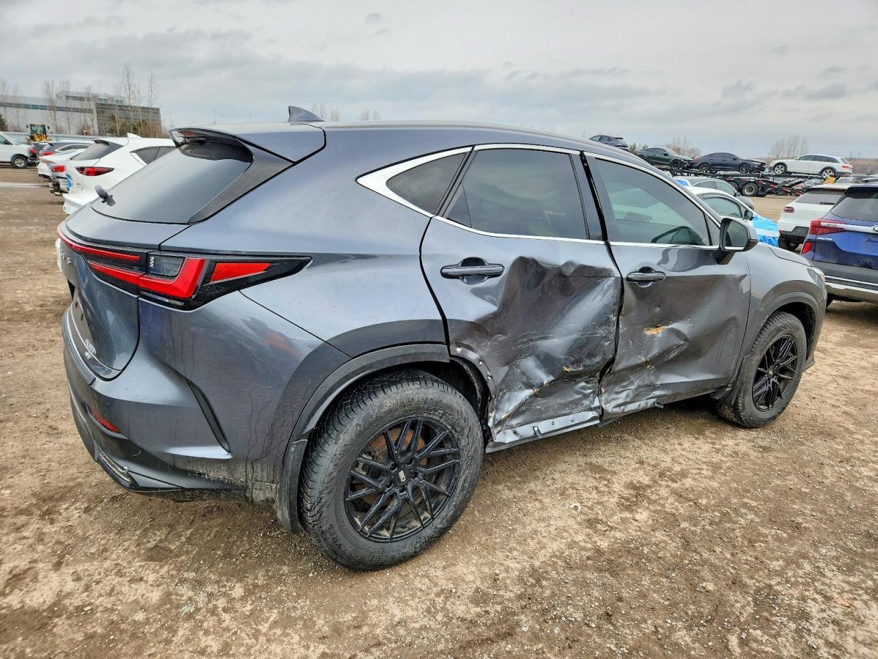 2024 LEXUS NX 350H