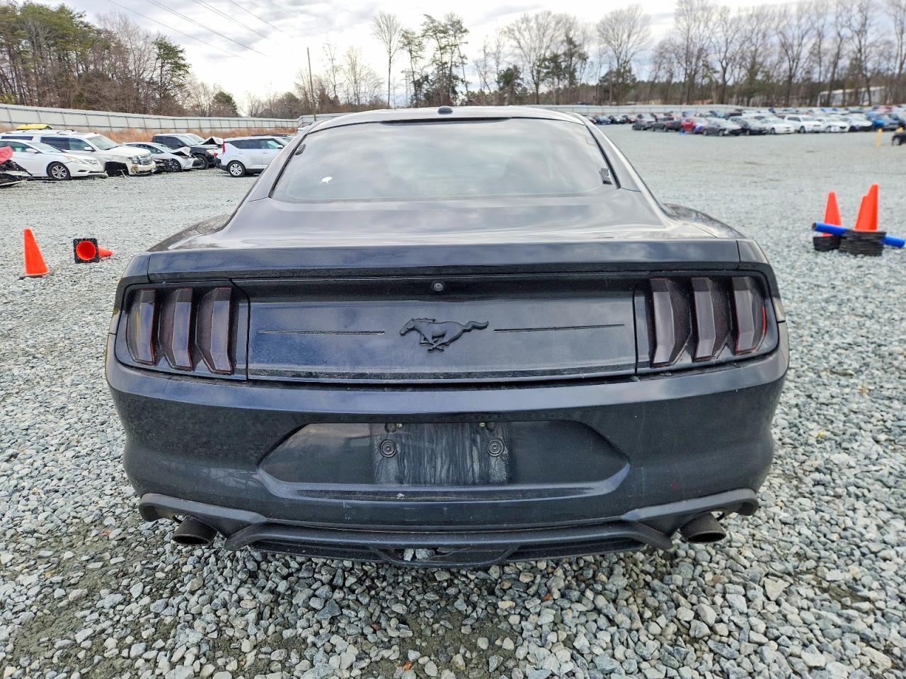 2019 FORD MUSTANG
