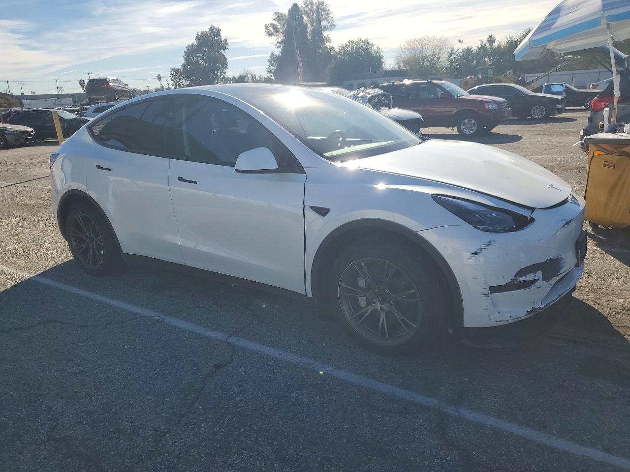 2024 TESLA MODEL Y