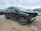 2025 LEXUS NX 250